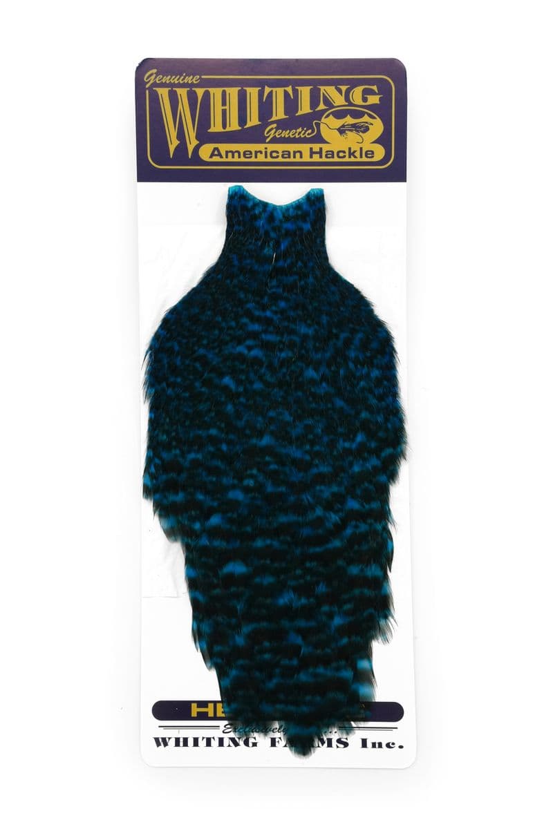 American Hen Cape Grizzly dyed Kingfisher Blue view 3