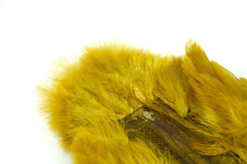 American Hen SH/C White dyed Golden Olive view 1