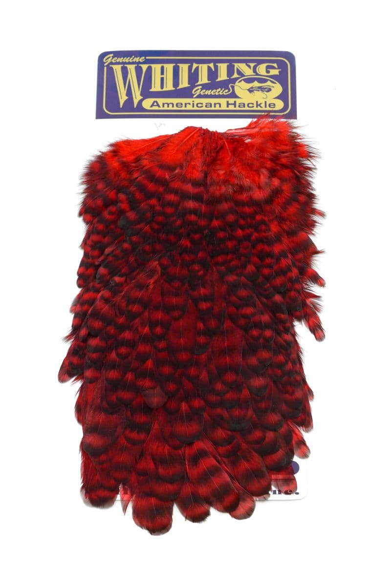 American Hen Saddle Grizzly dyed Red view 3