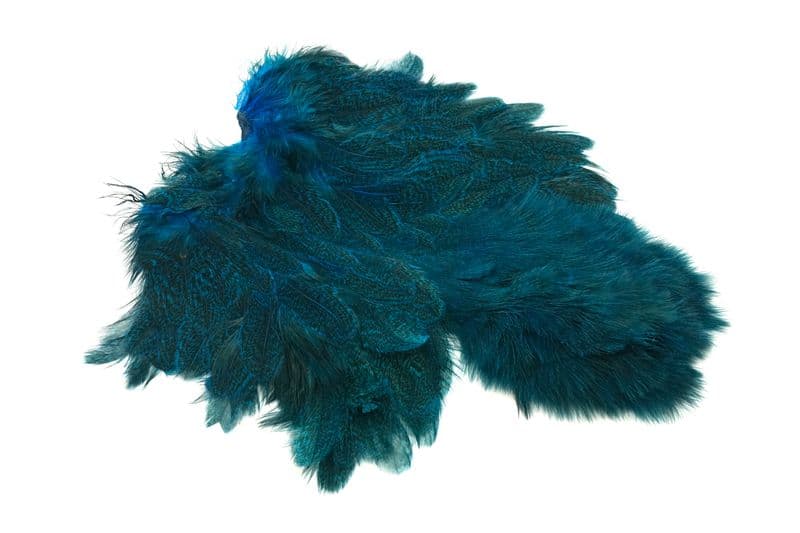 Coq De Leon Hen SH/C Speckled dyed Kingfisher Blue view 4