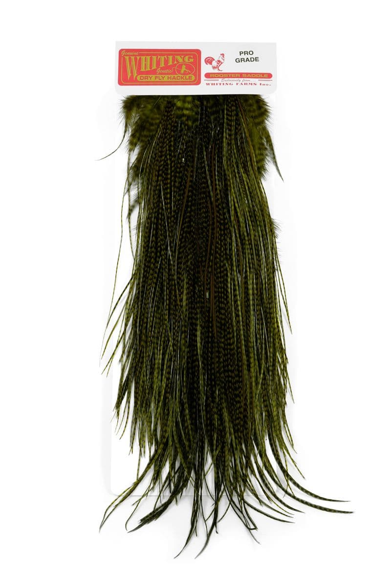 Whiting Pro Grade Midge Saddle Grizzly dyed Dark Olive view 3