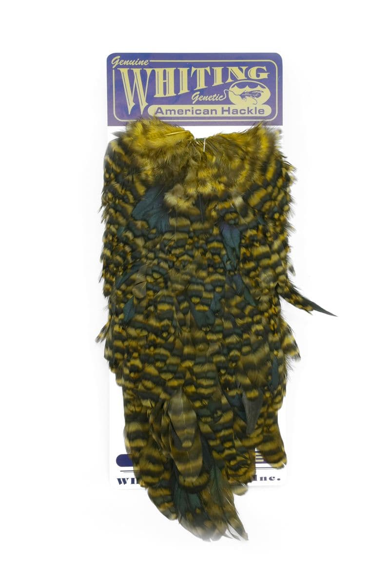 American Hen Saddle Grizzly dyed Golden Olive view 3