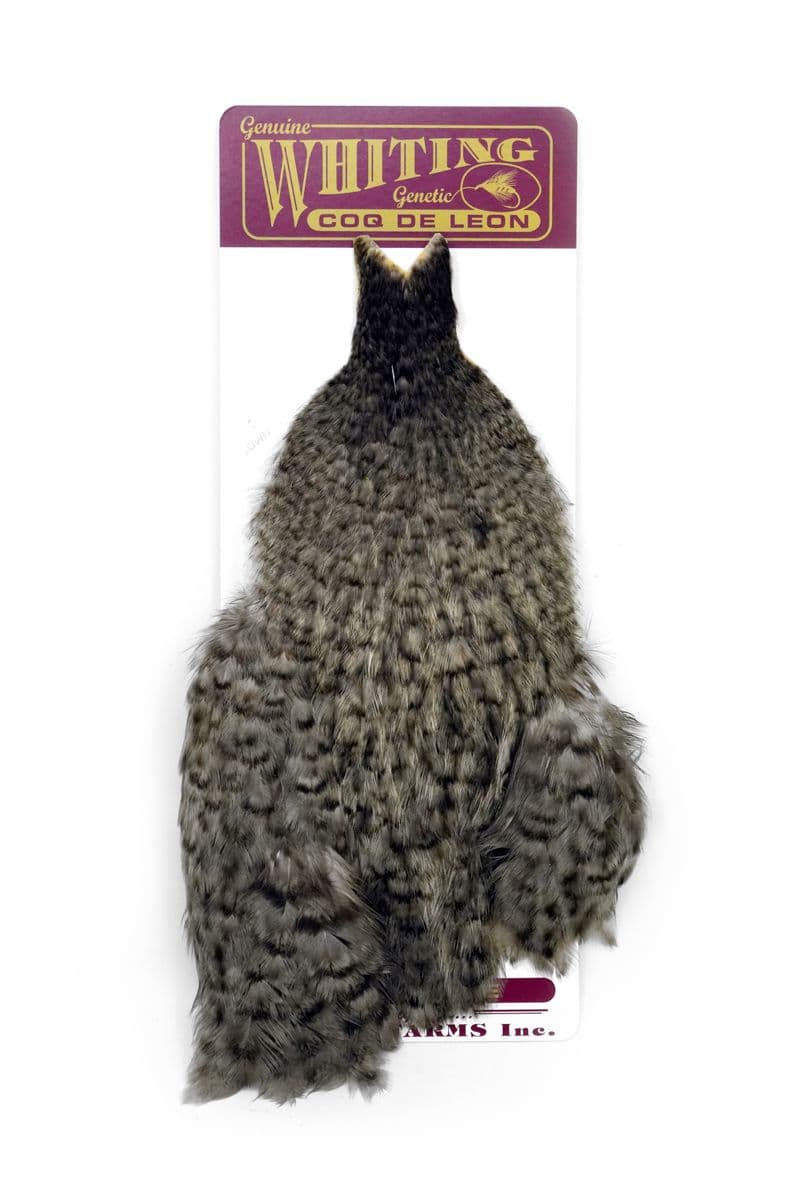 Coq de Leon Hen Cape Grizzly dyed Lime view 3