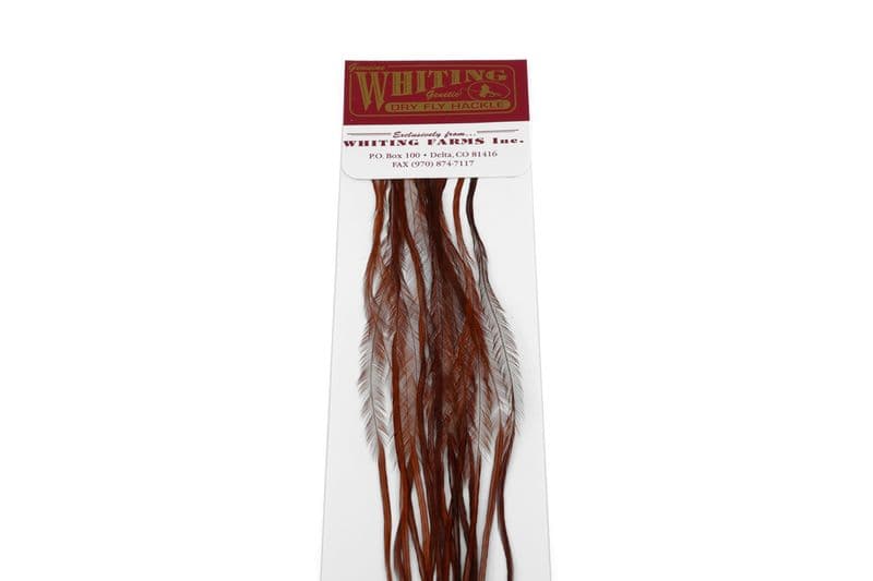 Whiting 100 Pk Size 16 Brown view 4