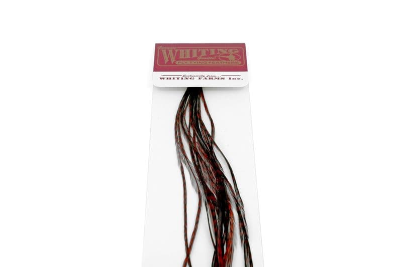 Whiting 100 Pk Size 18 Grizzly dyed Coachman Brown view 4