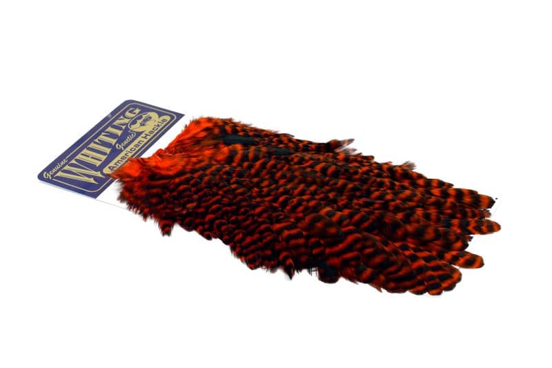 American Hen Saddle Grizzly dyed Orange view 2