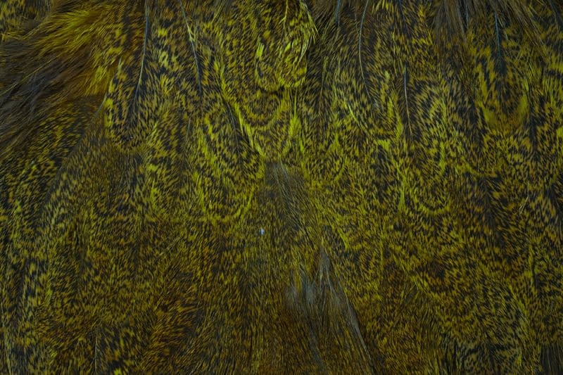 Coq De Leon Hen SH/C Speckled dyed Golden Olive view 1