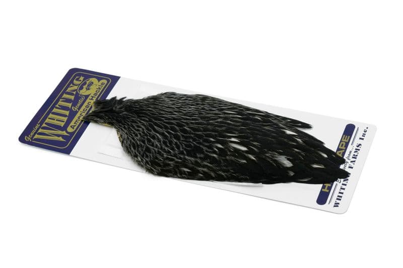 American Hen Cape Black laced White view 2