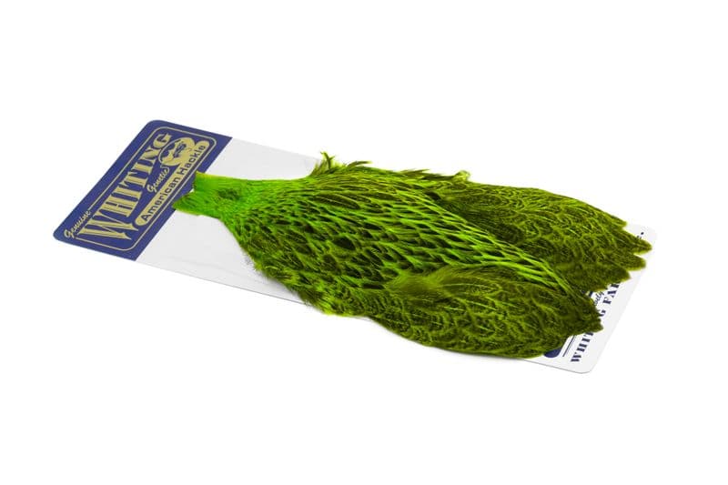 American Hen Cape Badger dyed Fl. Green Chartreuse view 2