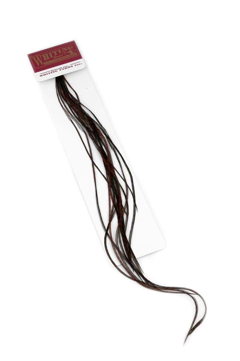 Whiting 100 Pk Size 18 Grizzly dyed Coachman Brown view 1