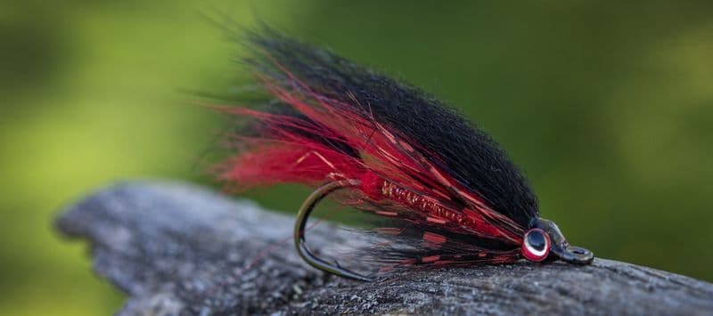 XO720 Patagon Bos Taurus Streamer #