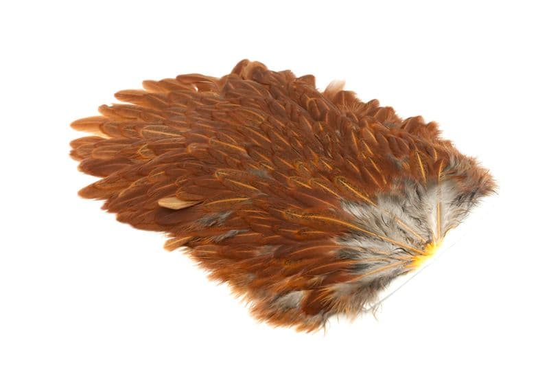 4 B's Hen Saddle Brown view 1