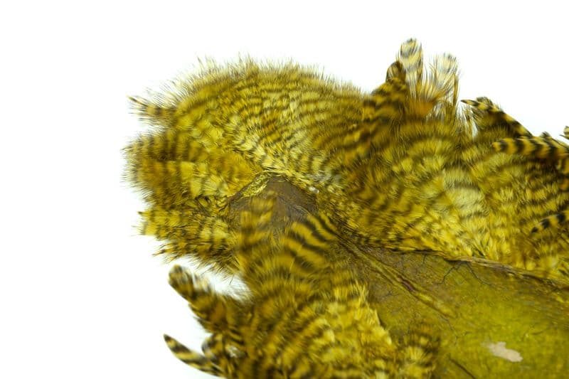 Whiting Rooster SH/C Grizzly dyed Golden Olive view 1