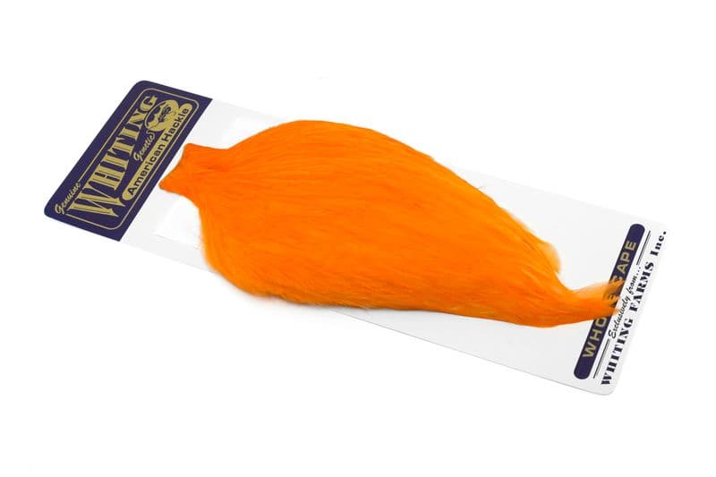 American Rooster Cape White dyed Shrimp Orange view 2