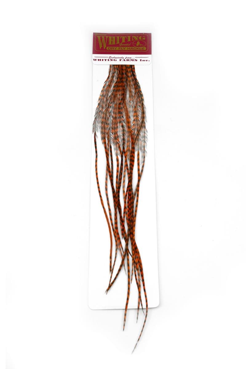 Whiting 100 Pk Size 14 Grizzly dyed Burnt Orange view 2