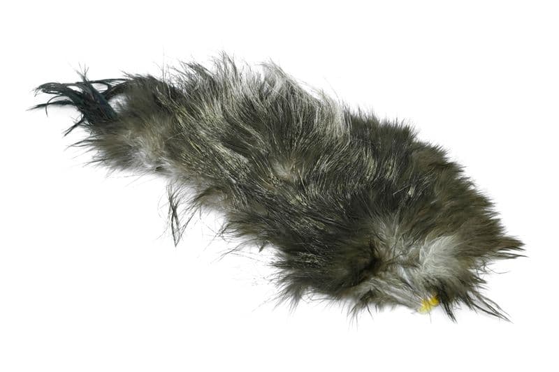 Bird Fur Unique Variant view 2