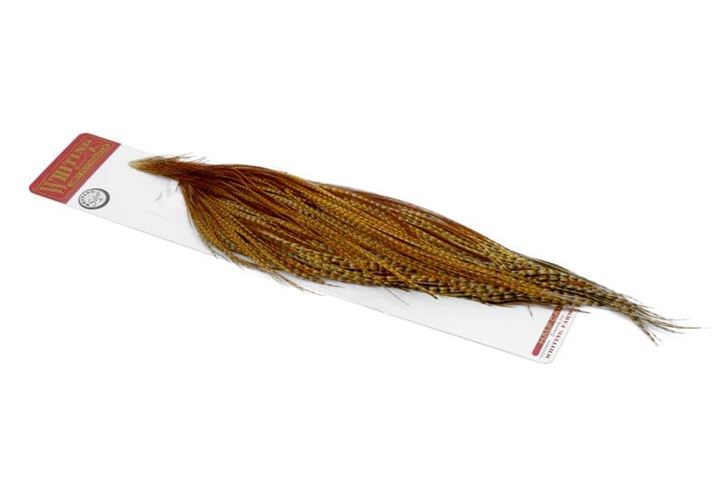 Whiting Silver 1/2 Cape Barred Dark Ginger view 1