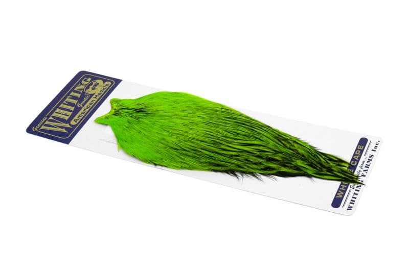 American Rooster Cape BLW dyed Fl. Green Chartre view 2