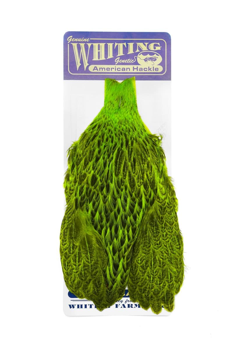 American Hen Cape Badger dyed Fl. Green Chartreuse view 3