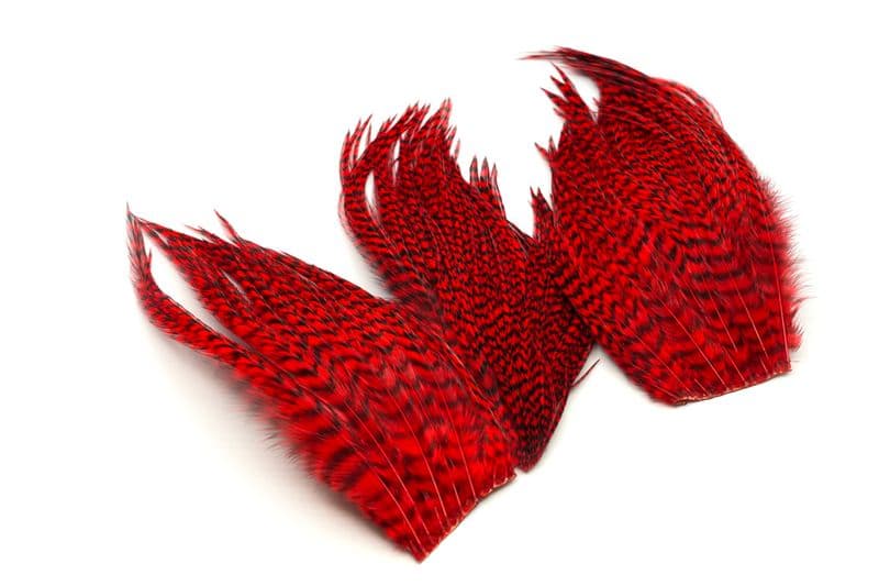 Whiting Bugger Pack Grizzly dyed Red view 4