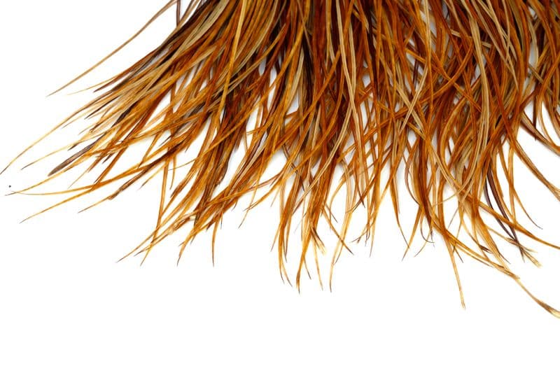 Whiting Bronze Saddle Medium Ginger view 4
