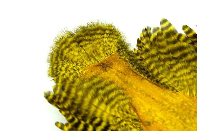 Whiting Rooster SH/C Grizzly dyed Yellow view 1