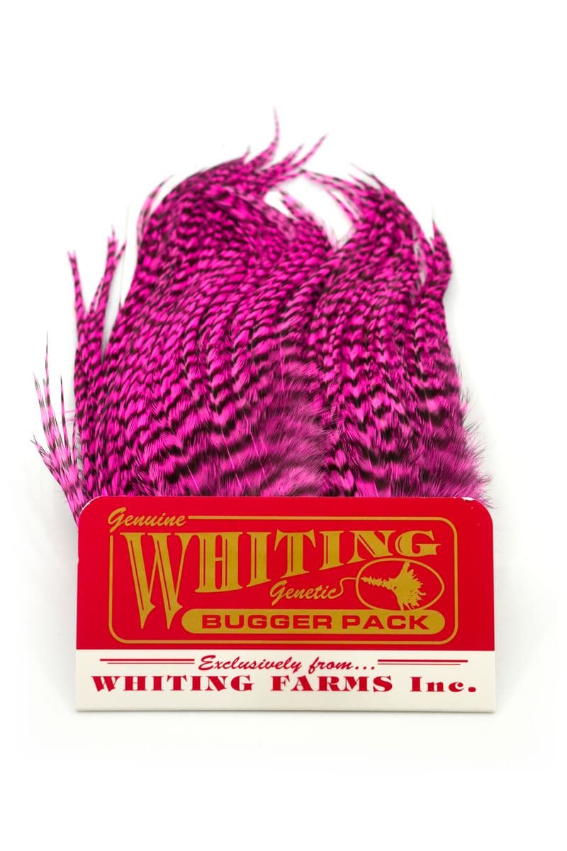 Whiting Bugger Pack Grizzly dyed Pink view 3