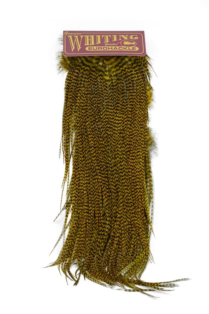 Eurohackle Saddle Grizzly dyed Golden Olive view 3