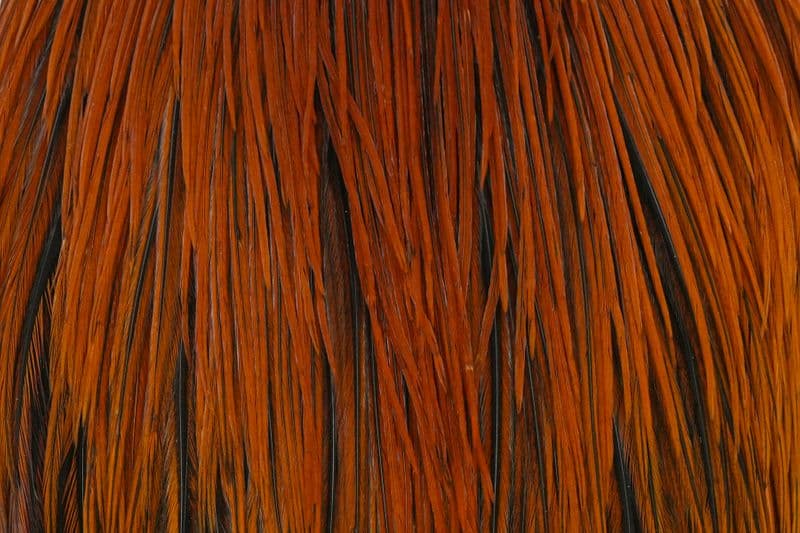 Hebert Pro Grade Cape Light Brown view 1