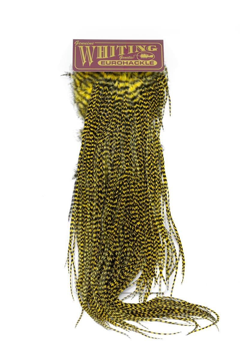 Eurohackle Saddle Grizzly dyed Pale Yellow view 3
