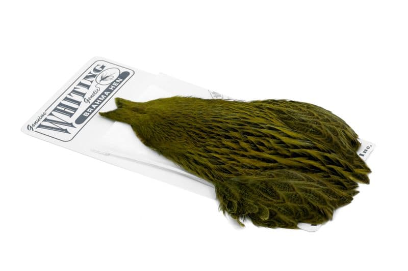 Brahma Hen Cape Badger dyed Olive view 2