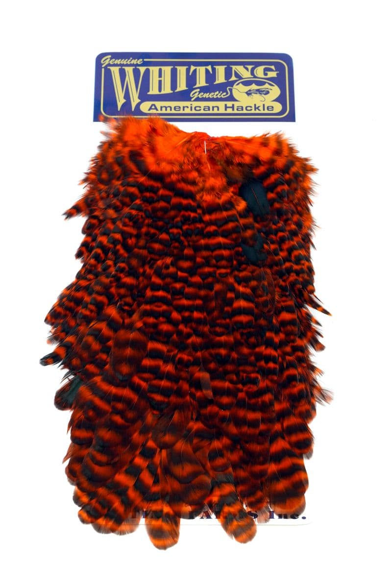 American Hen Saddle Grizzly dyed Orange view 3