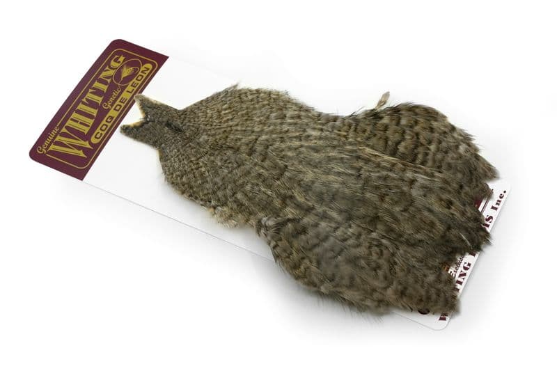 Coq de Leon Hen Cape Unique Variant view 2
