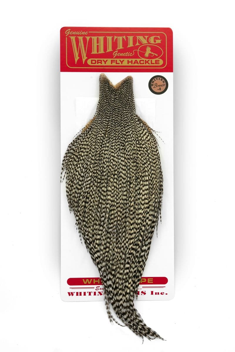 Whiting Bronze Cape Grizzly view 3