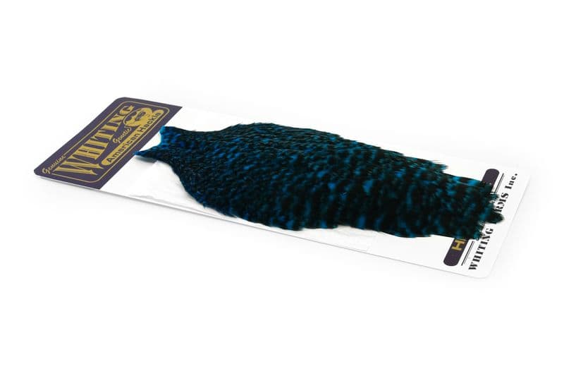 American Hen Cape Grizzly dyed Kingfisher Blue view 2