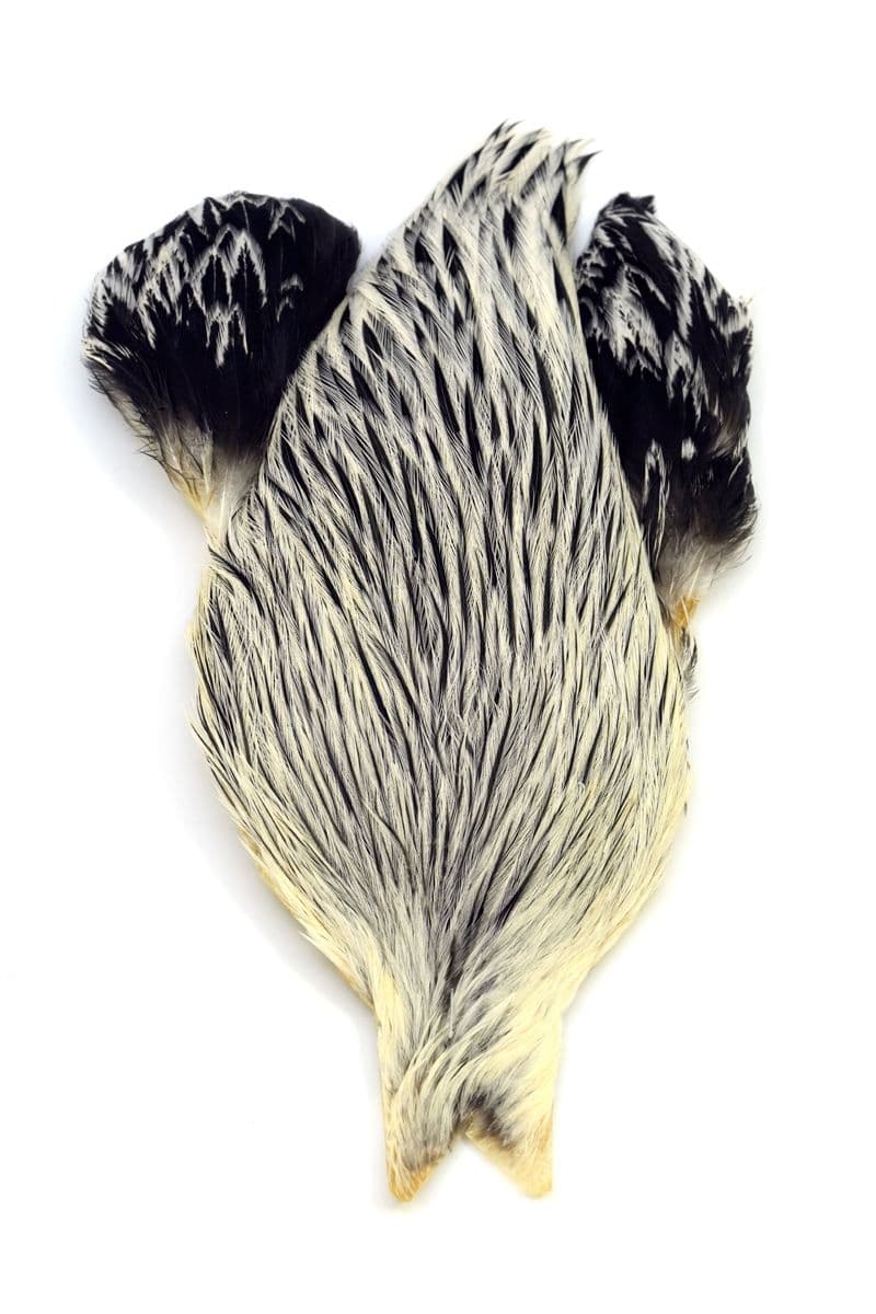 Brahma Rooster Cape Silver Badger view 3