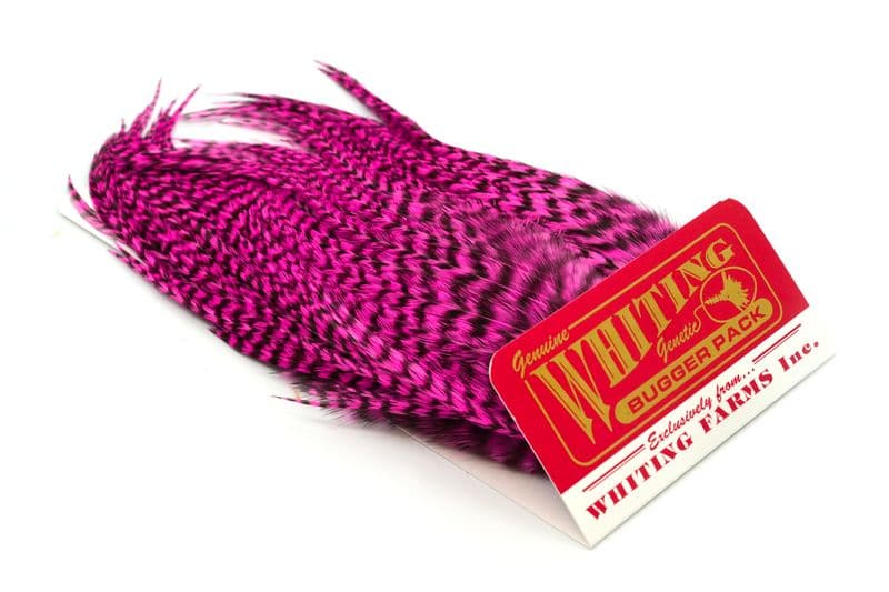 Whiting Bugger Pack Grizzly dyed Pink view 2