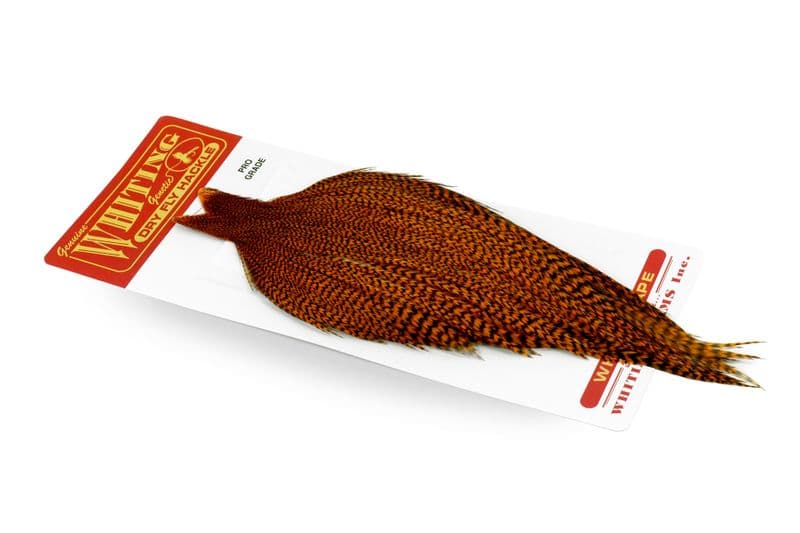 Whiting Pro Grade Cape Grizzly dyed Burnt Orange view 2