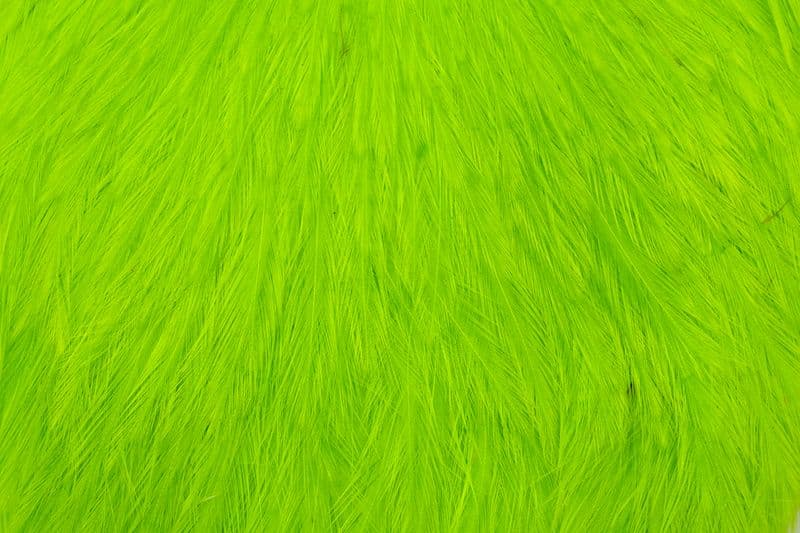 American Rooster Cape White dyed Fl. Green Chartreuse view 1