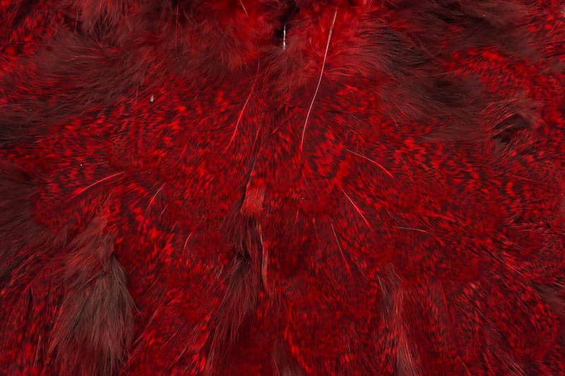 Coq De Leon Hen SH/C Speckled dyed Red view 1