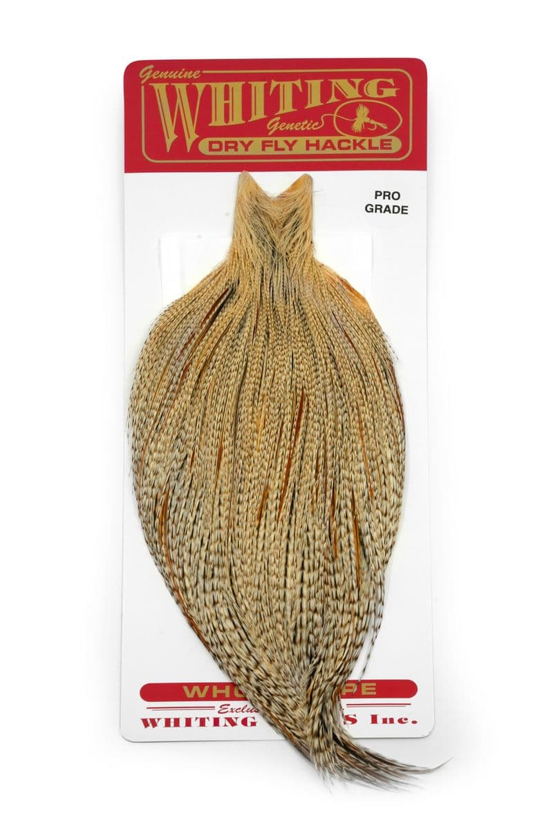 Whiting Pro Grade Cape Unique Variant view 3