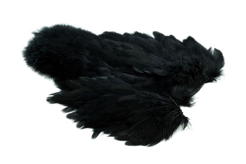 Brahma Hen SH/C Black view 2