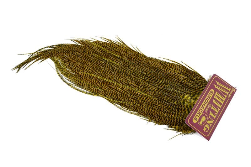 Eurohackle Saddle Grizzly dyed Golden Olive view 2