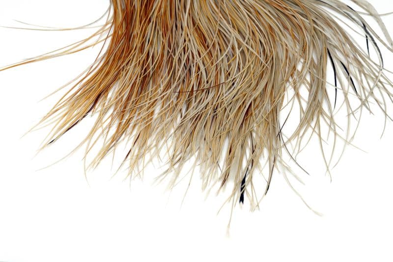 Whiting Silver Saddle Honey Dun view 4