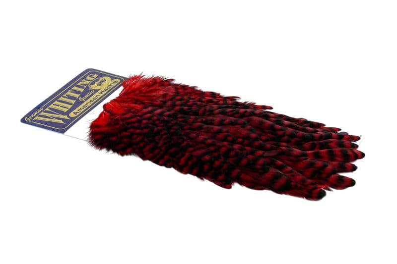American Hen Saddle Grizzly dyed Red view 2