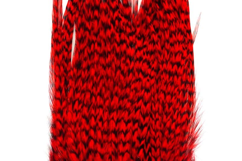 Whiting Bugger Pack Grizzly dyed Red view 1