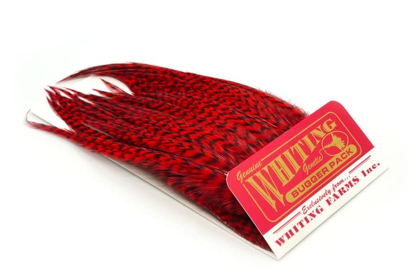 Whiting Bugger Pack Grizzly dyed Red view 2