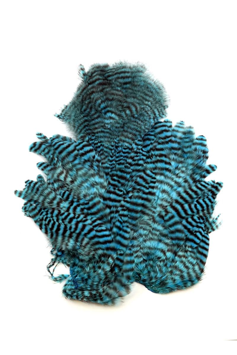 Whiting Rooster SH/C Grizzly dyed Silver Dr Blue view 3