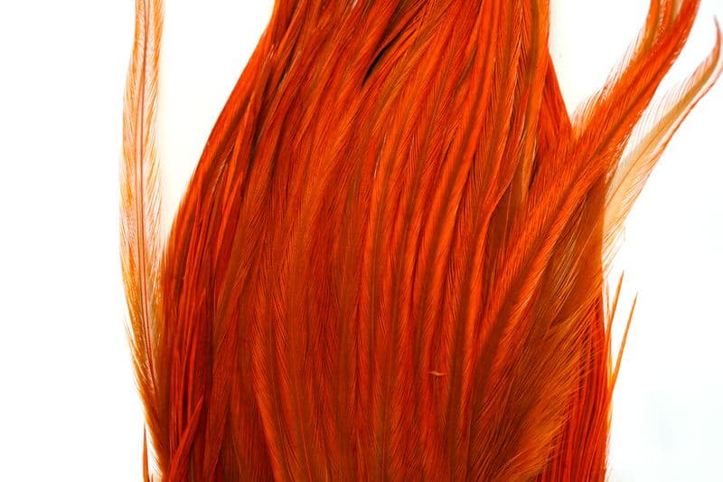 Whiting Bugger Pack White dyed Burnt Orange view 1