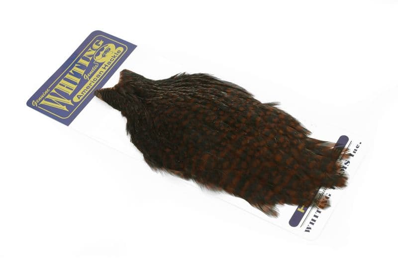 American Hen Cape Grizzly dyed Coachman Brown view 2